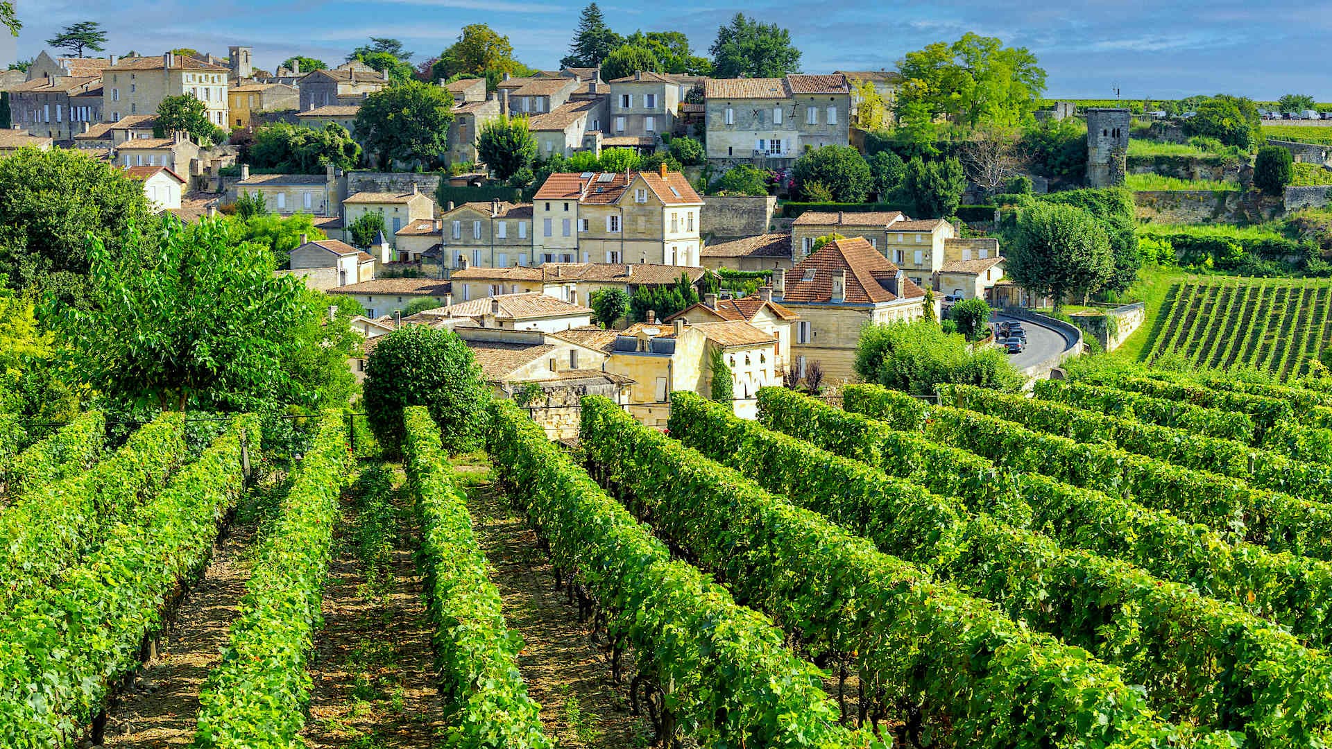 laraslk Explore France & The Wine Regions with private guides and a tailor-made itinerary.