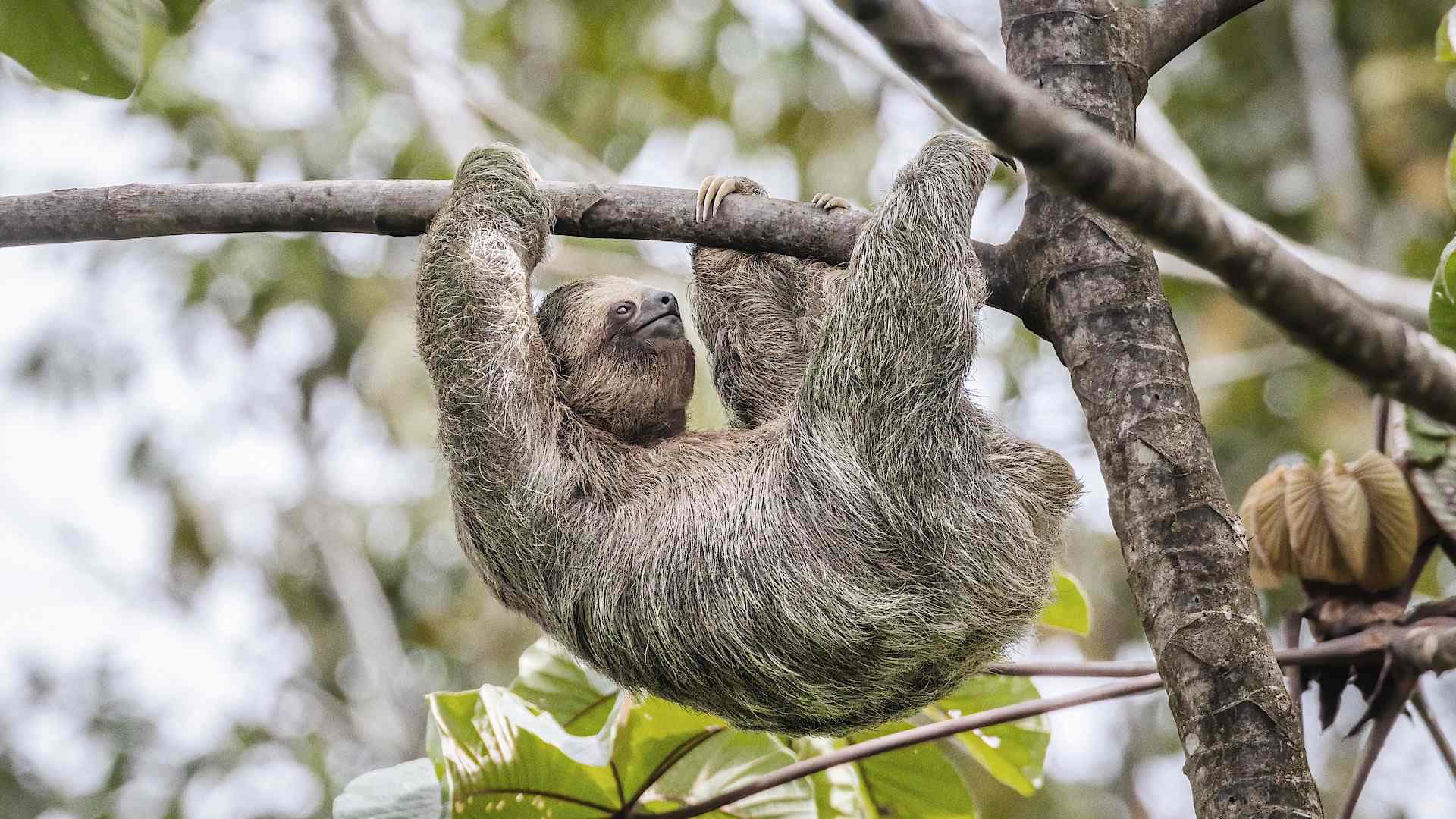 Explore Costa Rica with private guides and a tailor-made family itinerary.