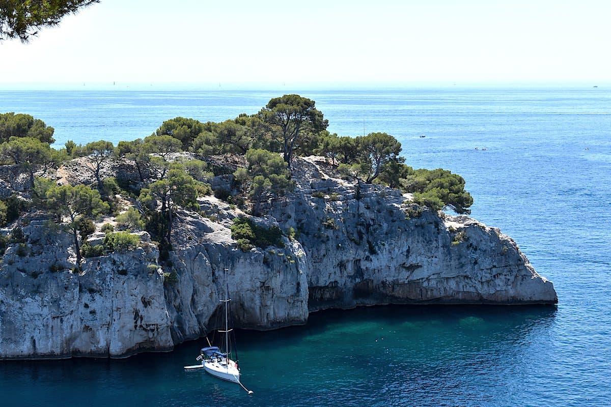 Lavender Fields and the World-Renowned Wines of Provence