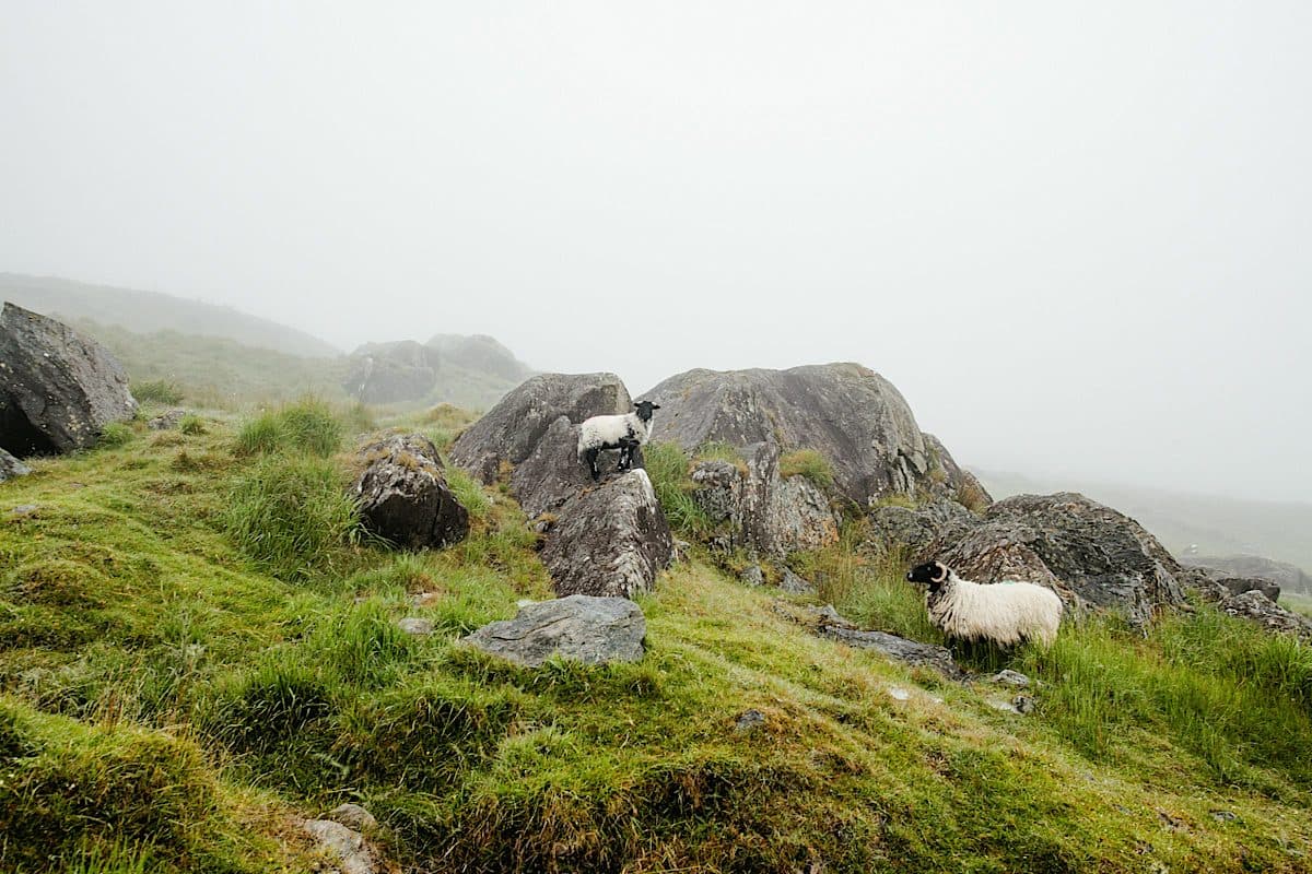 Ireland's Wild Beauty on the Atlantic's Edge