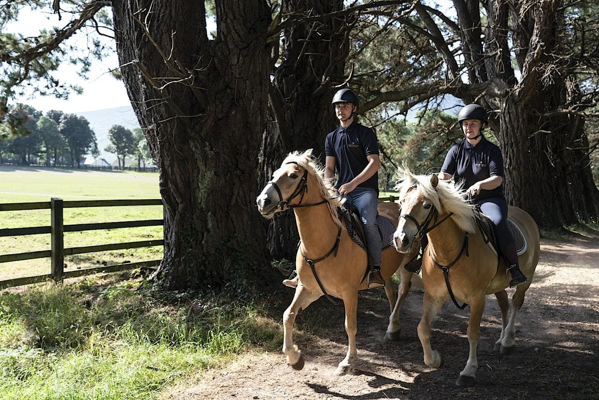Ireland's Untamed Landscapes and Rich Heritage