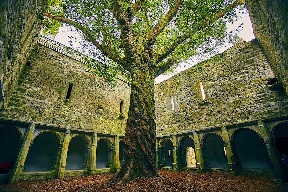 Ireland's Untamed Landscapes and Rich Heritage