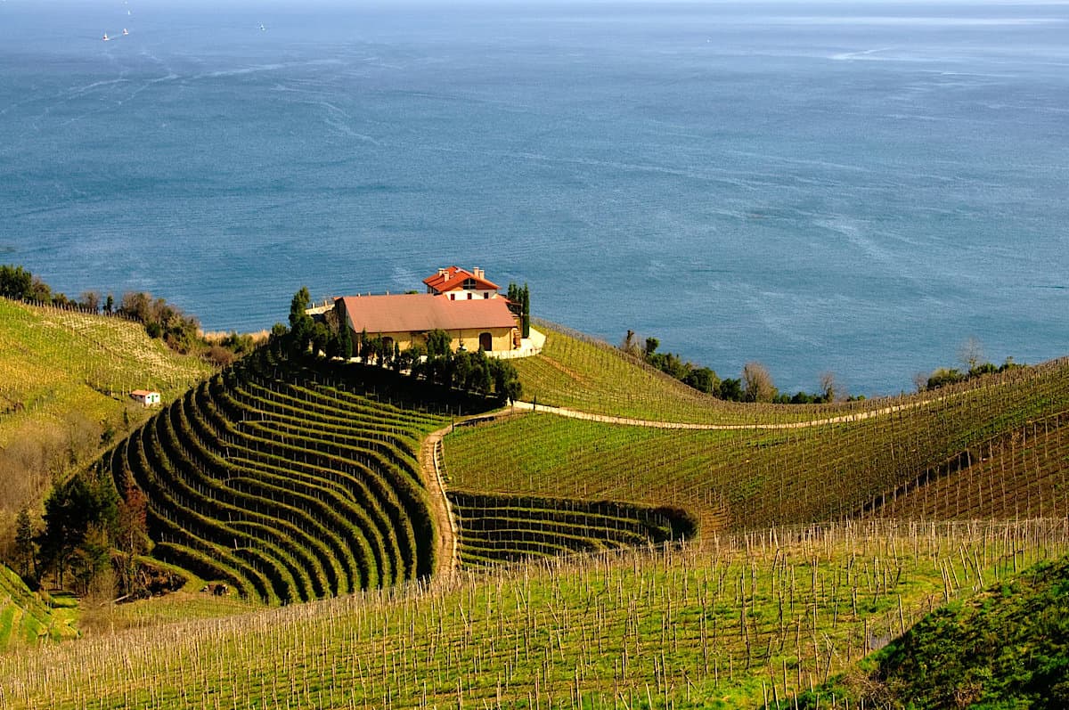 Experience Spanish Culture, Cuisine, and Art