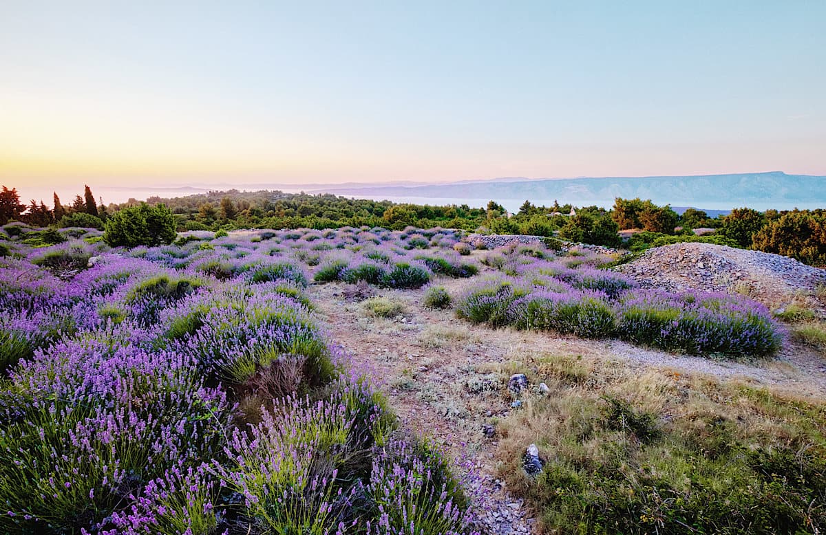 Medieval Walls, Culinary Elegance and Crystal Waters