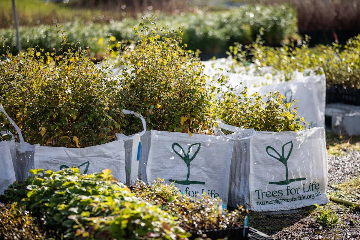 Global Grant Program