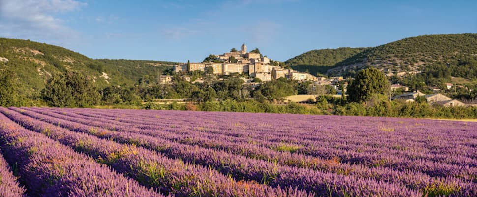 francois-roux The Essence of Provence