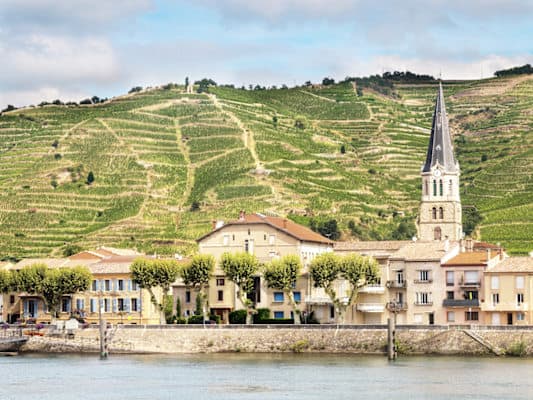 CreativeNature_nl Burgundy & Provence along the Rhone